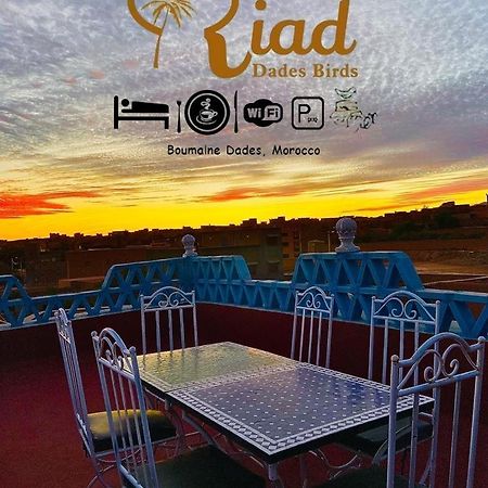 Riad Dades Birds Boumalne Dades Exterior photo