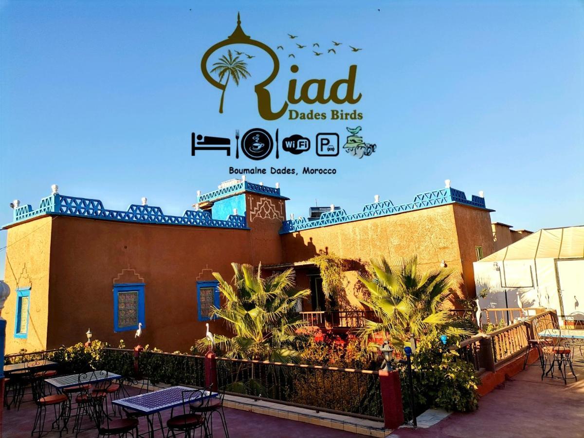 Riad Dades Birds Boumalne Dades Exterior photo