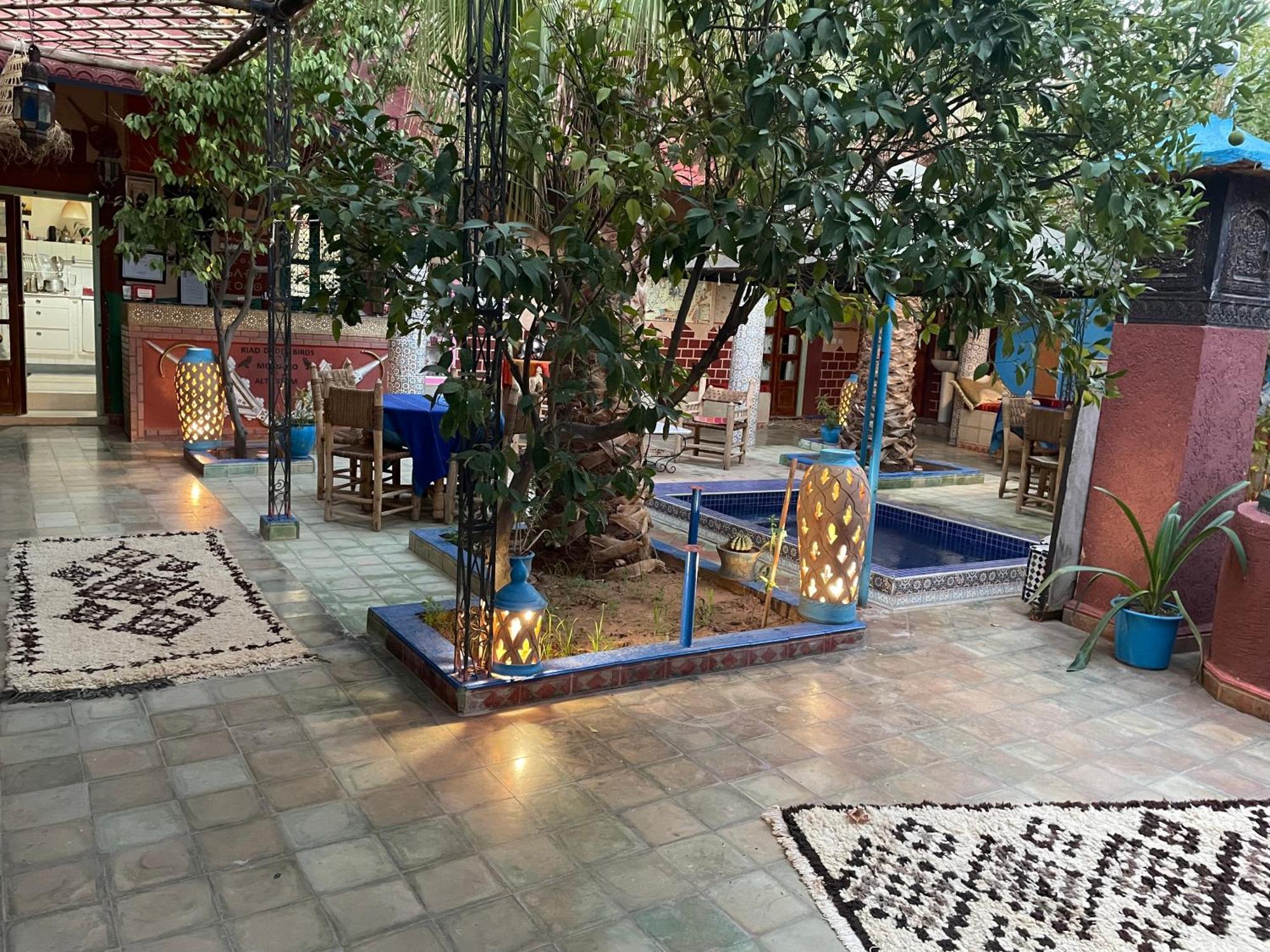 Riad Dades Birds Boumalne Dades Exterior photo