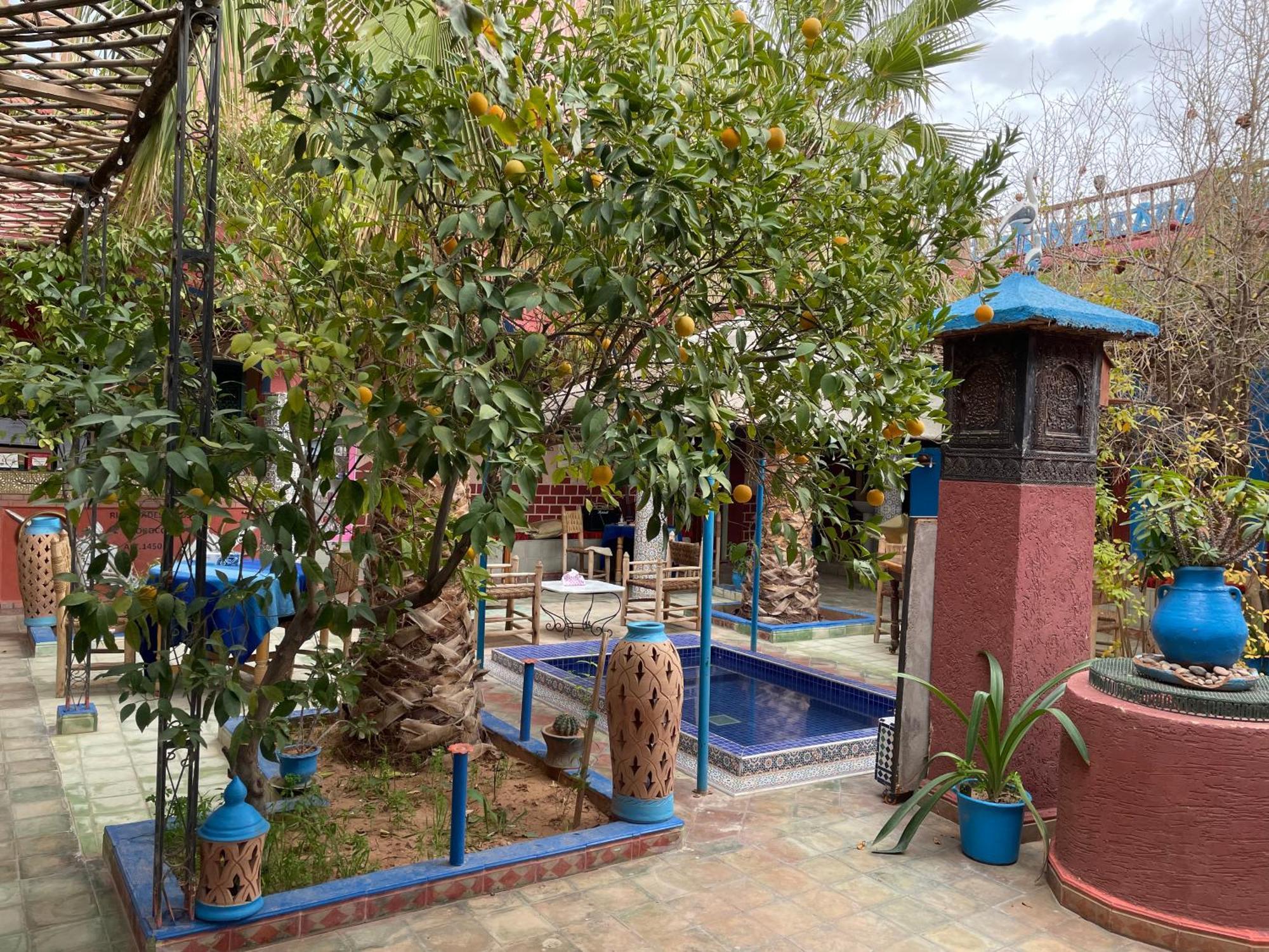 Riad Dades Birds Boumalne Dades Exterior photo